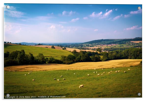 Cotswolds landscape near Winchcombe Acrylic by Chris Rose