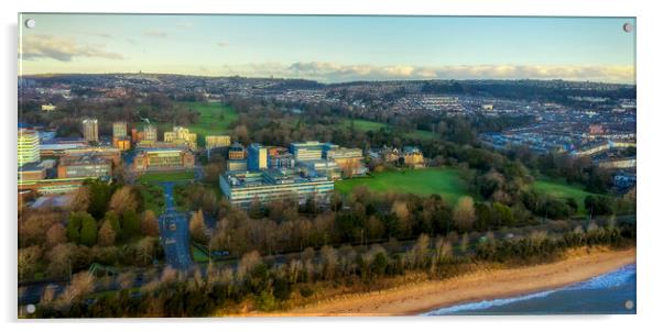 Singleton Park and Swansea University Acrylic by Leighton Collins