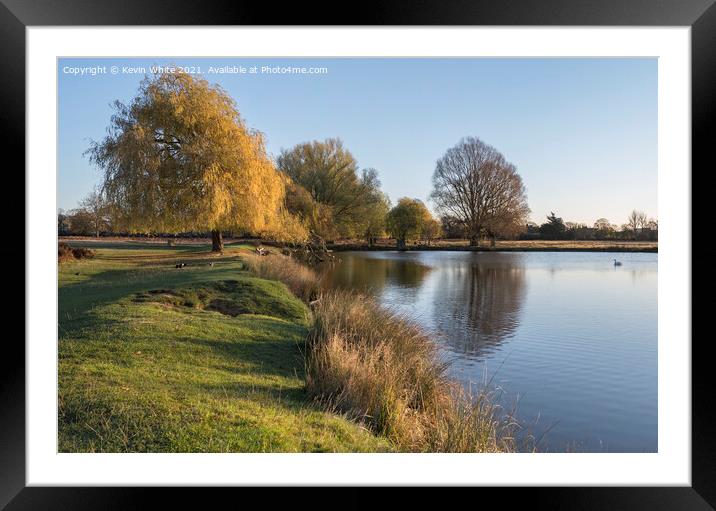 Glorious golden autumn Framed Mounted Print by Kevin White