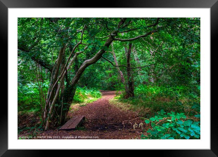 Enchanted Woodland Path: A Walk Through Ancient Wo Framed Mounted Print by Martin Day