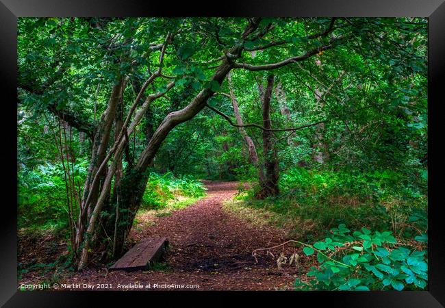 Enchanted Woodland Path: A Walk Through Ancient Wo Framed Print by Martin Day