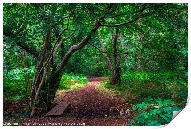 Enchanted Woodland Path: A Walk Through Ancient Wo Print by Martin Day