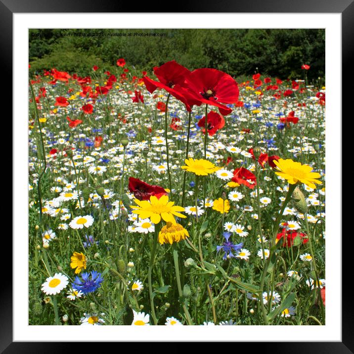 Wild flower meadow Framed Mounted Print by Kevin Britland