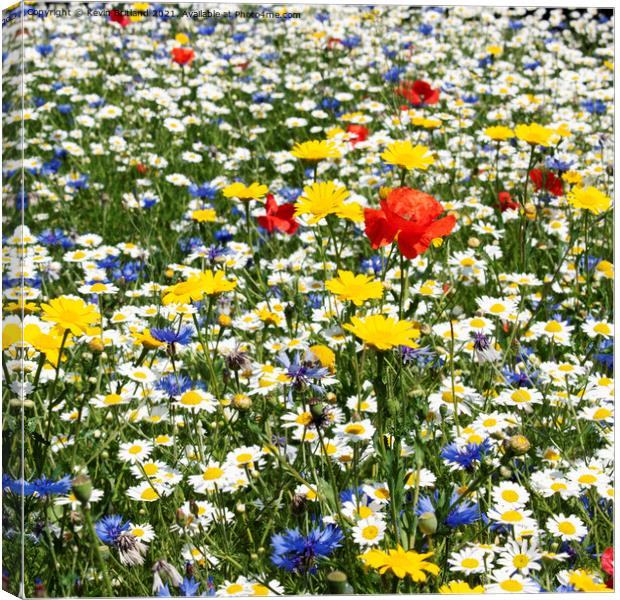 Wild flower meadow  Canvas Print by Kevin Britland