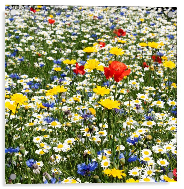 Wild flower meadow  Acrylic by Kevin Britland