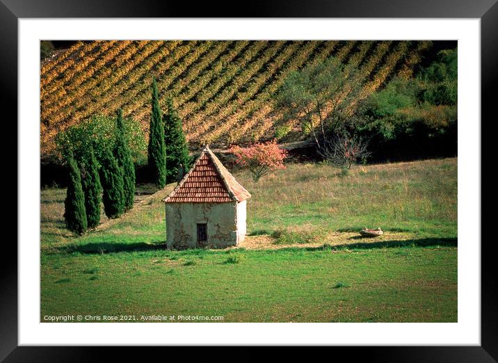 St-Chinian, autumn vineyard Framed Mounted Print by Chris Rose