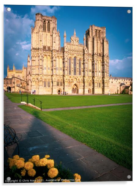 Wells cathedral Acrylic by Chris Rose