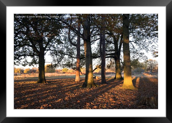 Long shadows of winter sunrise Framed Mounted Print by Kevin White