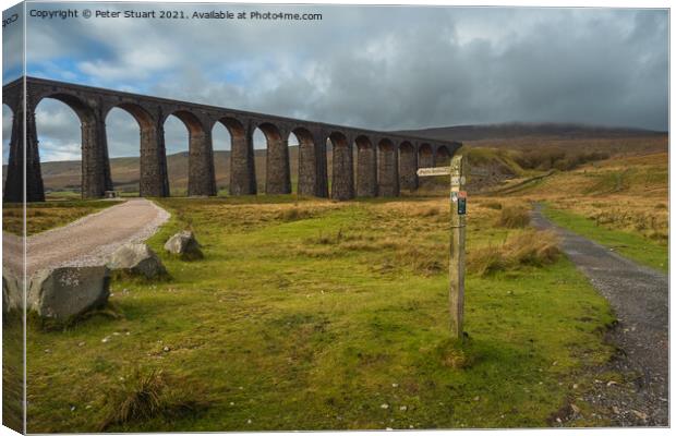 Ribblehead Viaduct on the Settle Carlisle railway in the Yorkshi Canvas Print by Peter Stuart