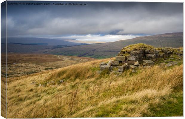 Blea moor and Dent Head in the Yorkshire Dales Canvas Print by Peter Stuart