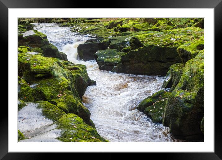 The Strid, River Wharfe, near Bolton Abbey Framed Mounted Print by Peter Stuart