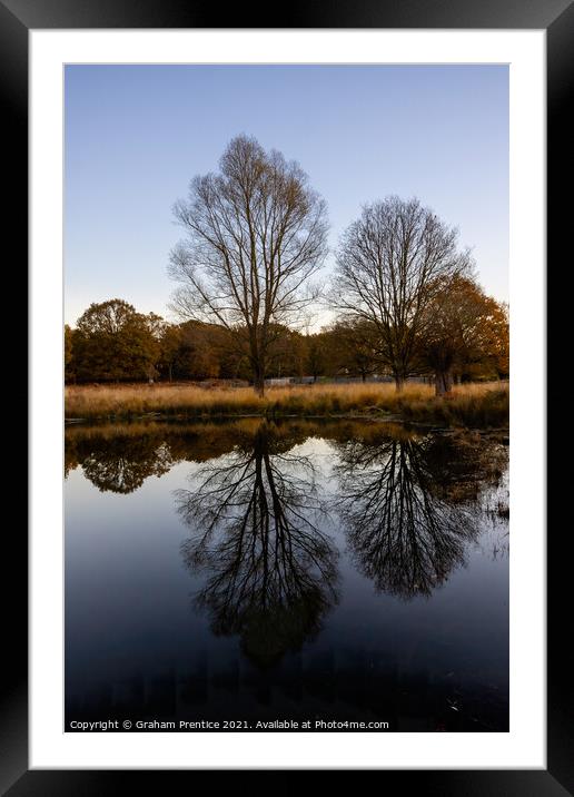 Richmond Park Morning Framed Mounted Print by Graham Prentice