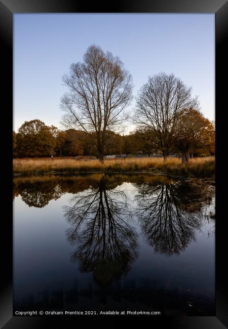 Richmond Park Morning Framed Print by Graham Prentice