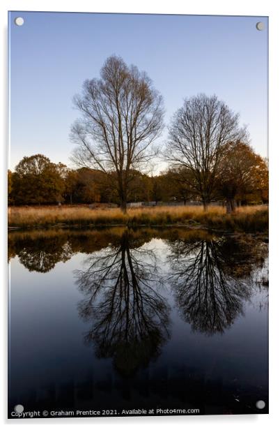Richmond Park Morning Acrylic by Graham Prentice