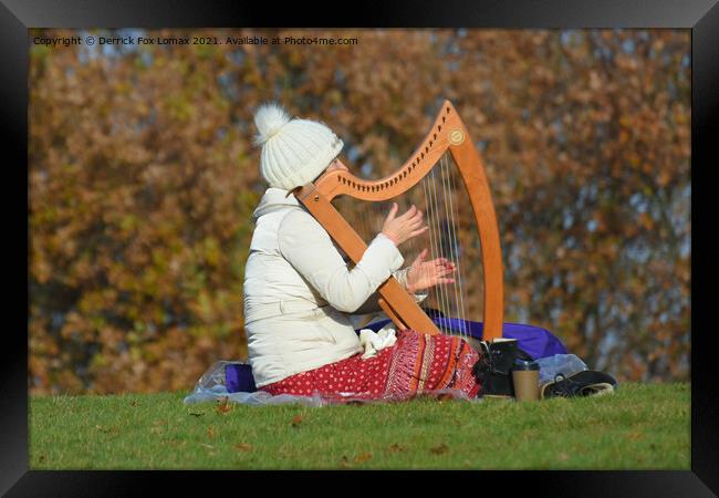 Heaton park harp player Framed Print by Derrick Fox Lomax