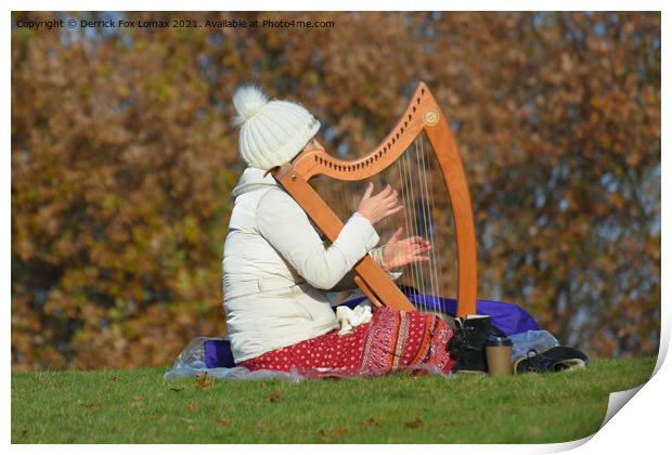 Heaton park harp player Print by Derrick Fox Lomax