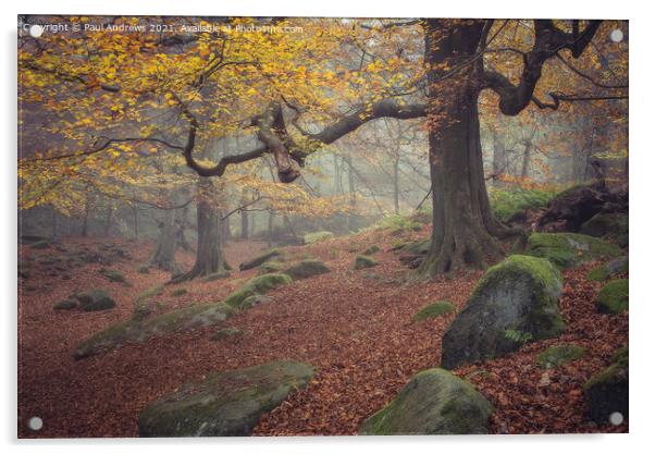 Padley Gorge Acrylic by Paul Andrews