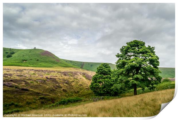 Oak Trees, Hole of Horcum Print by Michael Shannon