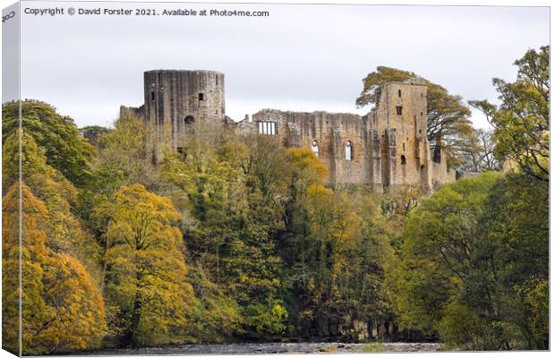 The Ruined Castle of Barnard Castle in Autumn, Teesdale, UK Canvas Print by David Forster