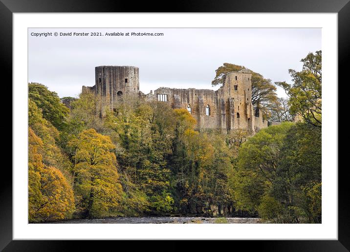 The Ruined Castle of Barnard Castle in Autumn, Teesdale, UK Framed Mounted Print by David Forster