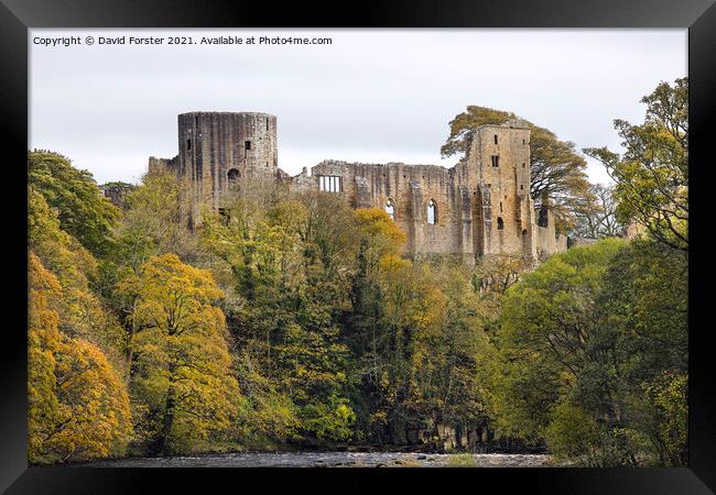 The Ruined Castle of Barnard Castle in Autumn, Teesdale, UK Framed Print by David Forster