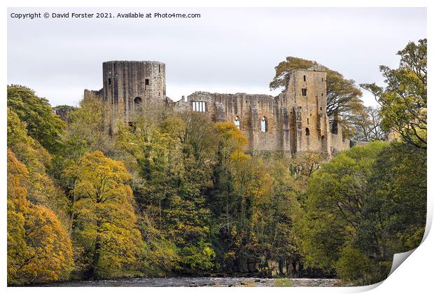 The Ruined Castle of Barnard Castle in Autumn, Teesdale, UK Print by David Forster