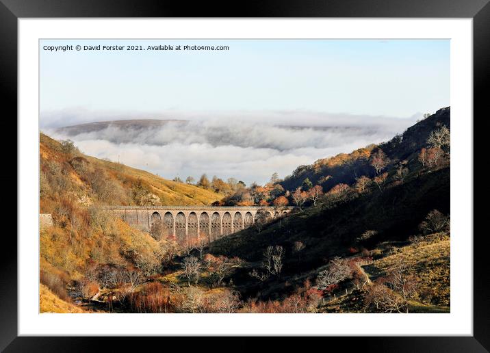Smardale Gill Viaduct in Autumn, Cumbria, UK Framed Mounted Print by David Forster