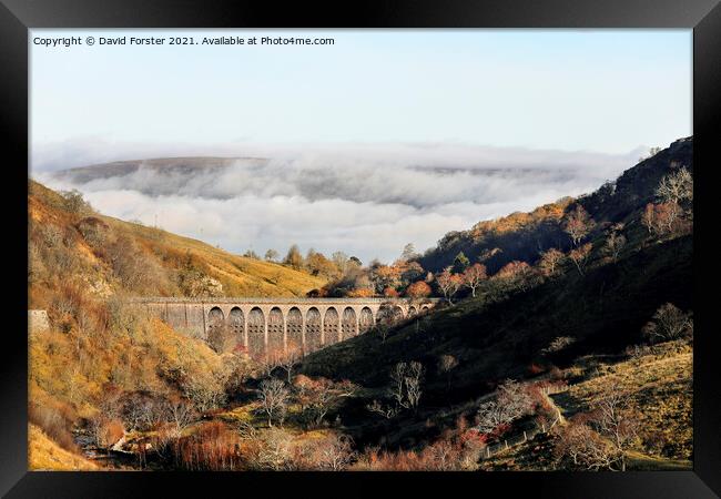 Smardale Gill Viaduct in Autumn, Cumbria, UK Framed Print by David Forster