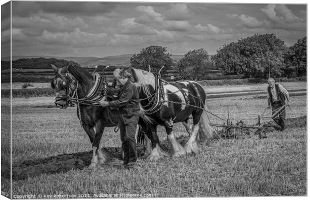 Ploughing by horse Canvas Print by Kev Robertson