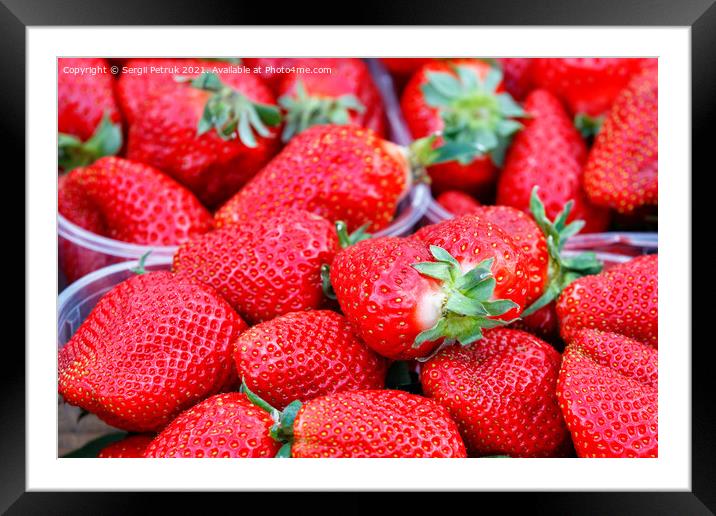 Berries of ripe large red strawberries close-up on a market counter. Framed Mounted Print by Sergii Petruk