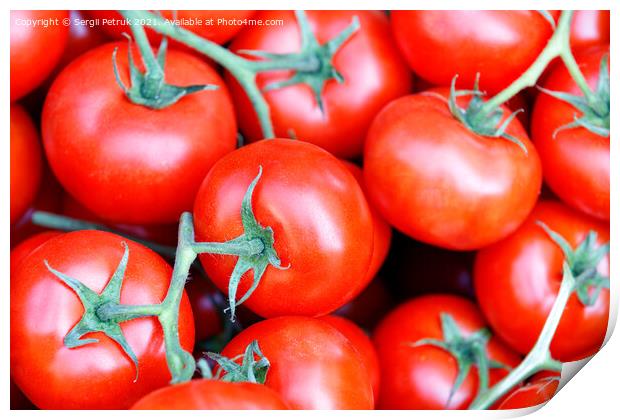 Branches of fresh red tomatoes with green stems close-up. Print by Sergii Petruk