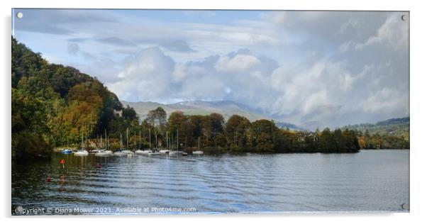 Windermere Western shore Panoramic Acrylic by Diana Mower