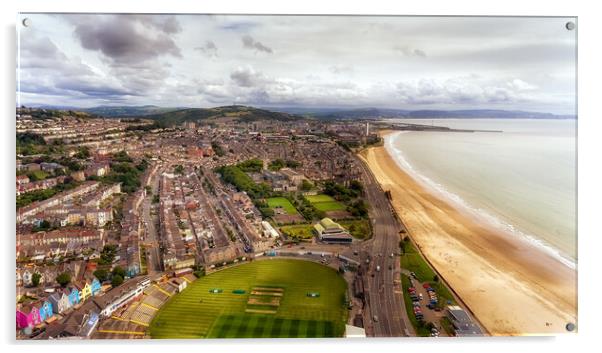 Swansea City and the Bay Acrylic by Leighton Collins