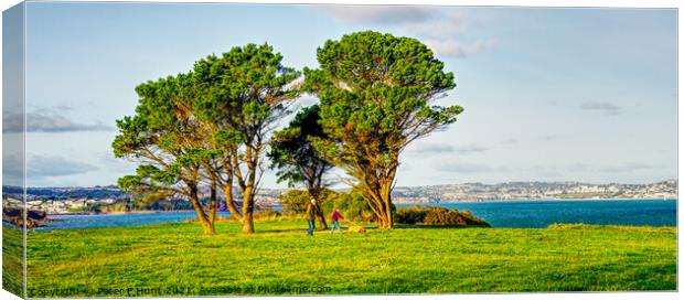Broadsands And A View Over Torbay Canvas Print by Peter F Hunt