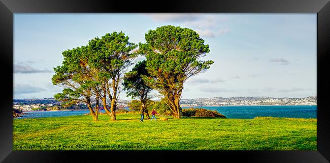 Broadsands And A View Over Torbay Framed Print by Peter F Hunt
