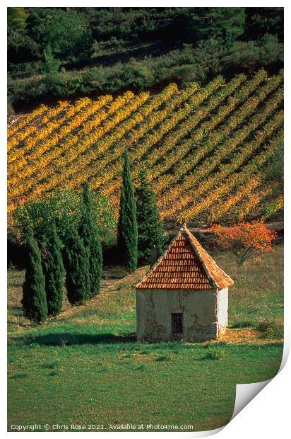St-Chinian, autumn vineyard Print by Chris Rose