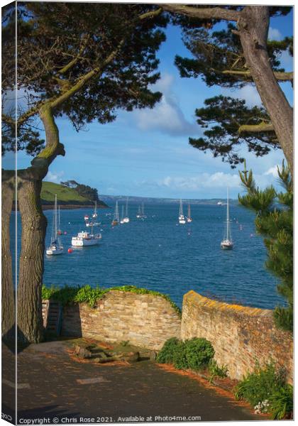 St Mawes moorings Canvas Print by Chris Rose