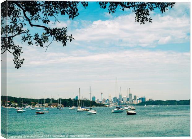 Sydney Harbour view from Watsons Bay with central business district of Sydney in the distance, New South Wales, Australia Canvas Print by Mehul Patel