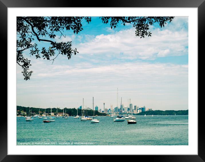 Sydney Harbour view from Watsons Bay with central business district of Sydney in the distance, New South Wales, Australia Framed Mounted Print by Mehul Patel