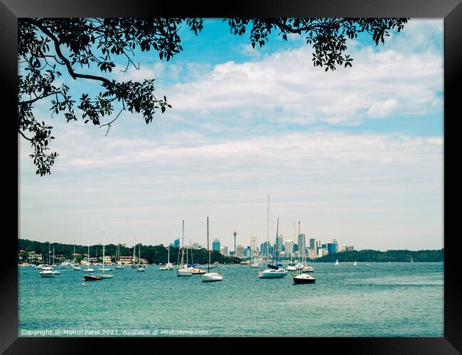 Sydney Harbour view from Watsons Bay with central business district of Sydney in the distance, New South Wales, Australia Framed Print by Mehul Patel