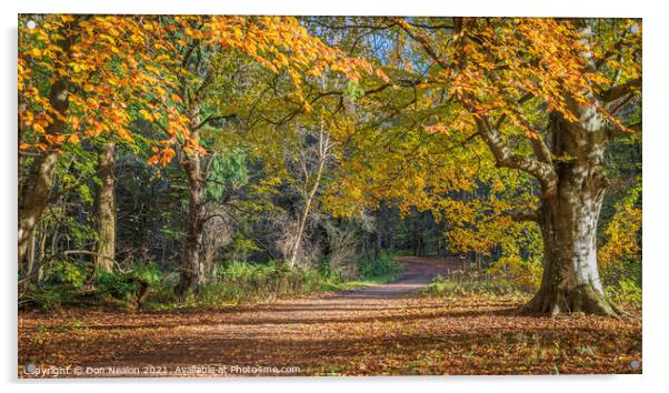 Majestic Autumn Walk Acrylic by Don Nealon