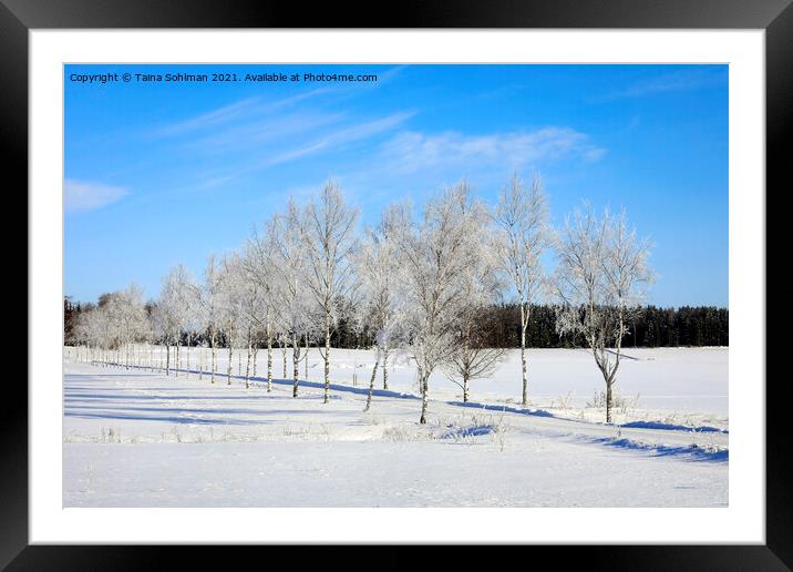 Frosted Tree Lined Road Framed Mounted Print by Taina Sohlman