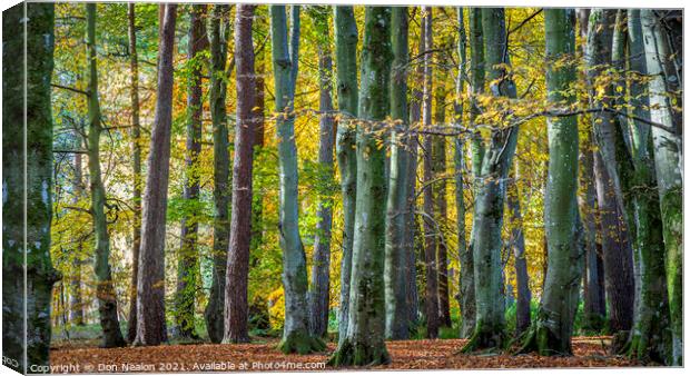 Can't see the wood for t he trees. Canvas Print by Don Nealon