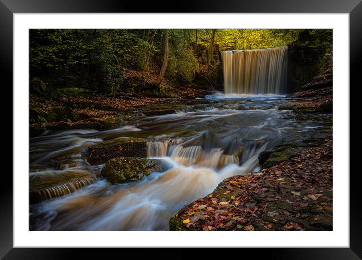 Autumn Power Framed Mounted Print by Clive Ashton