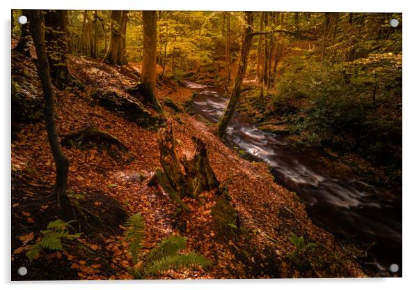 The Old Stump Acrylic by Clive Ashton