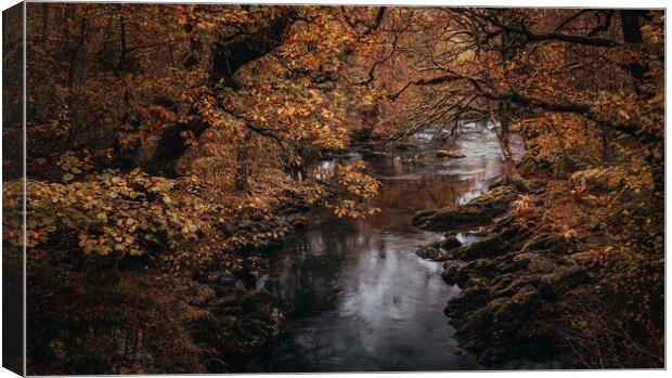 A Welsh river in Autumn Canvas Print by Clive Ashton