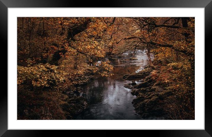 A Welsh river in Autumn Framed Mounted Print by Clive Ashton
