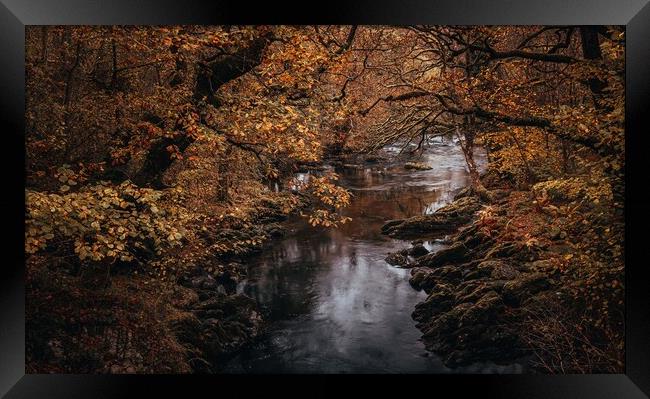 A Welsh river in Autumn Framed Print by Clive Ashton