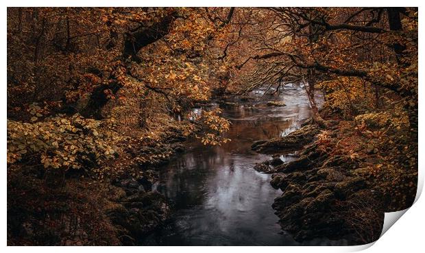 A Welsh river in Autumn Print by Clive Ashton