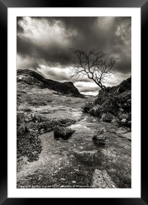 Lone tree and mountain background mono Framed Mounted Print by Clive Ingram